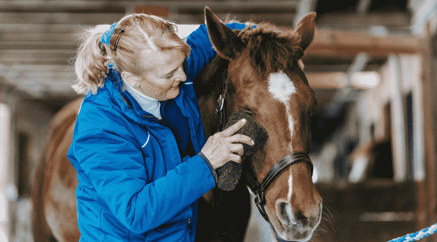 Grooming Show Your Horse Some TLC
