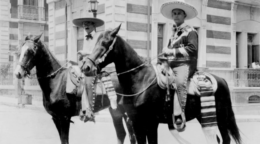 The Mexican Charro Horse