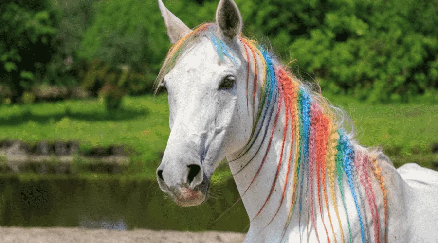 World's Rarest Horse Colors