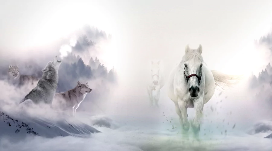 white horse breeds